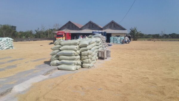 Supplier beras